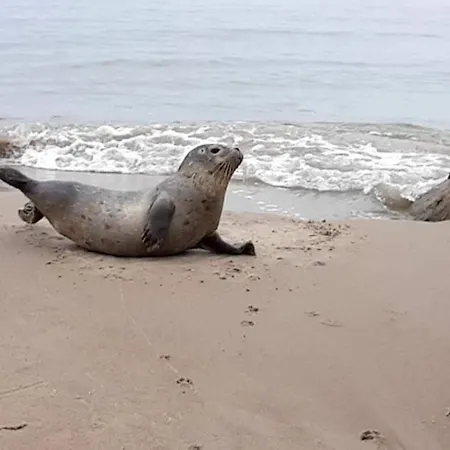 5 Person In Albaek-by Traum Casa de Férias Ålbæk