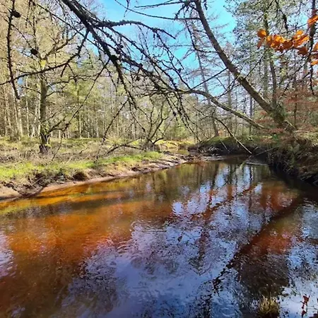 Casa de Férias 5 Person In Albaek-by Traum *