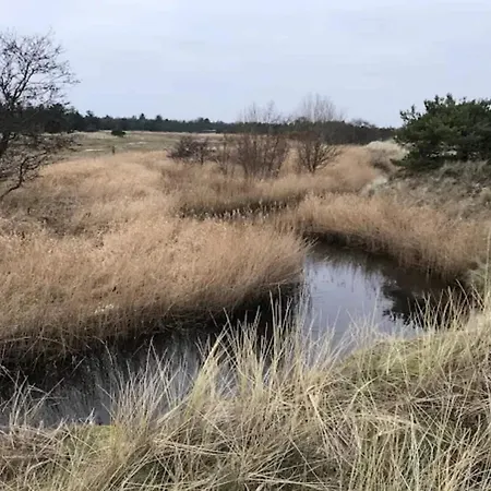 5 Person In Albaek-by Traum * Ålbæk