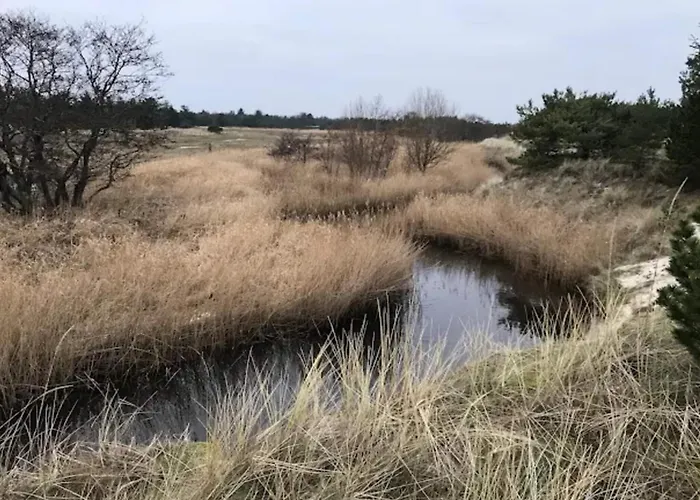 5 Person In Albaek-by Traum *